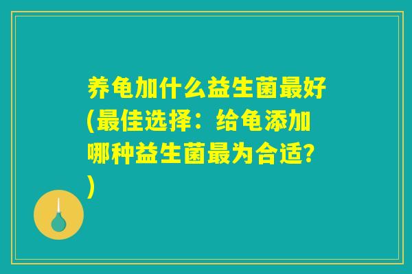 养龟加什么益生菌最好(最佳选择：给龟添加哪种益生菌最为合适？)