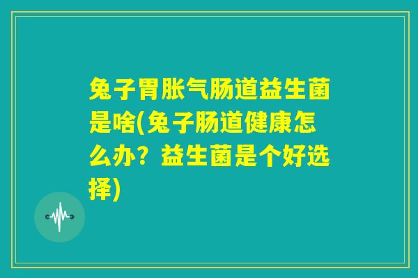兔子胃胀气肠道益生菌是啥(兔子肠道健康怎么办?益生菌是个好选择) 兔子胃胀气肠道益生菌是啥(兔子肠道健康怎么办?益生菌是个好选择)