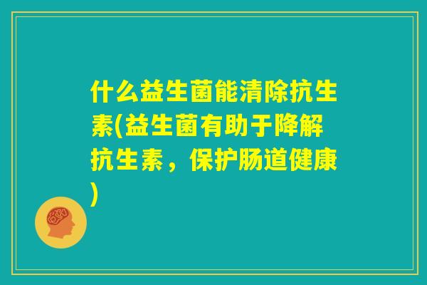 什么益生菌能清除抗生素(益生菌有助于降解抗生素,保护肠道健康) 什么益生菌能清除抗生素(益生菌有助于降解抗生素,保护肠道健康)