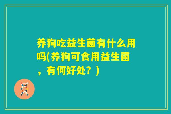 养狗吃益生菌有什么用吗(养狗可食用益生菌,有何好处?) 养狗吃益生菌有什么用吗(养狗可食用益生菌,有何好处?)