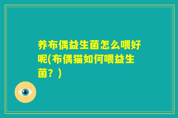 养布偶益生菌怎么喂好呢(布偶猫如何喂益生菌?) 养布偶益生菌怎么喂好呢(布偶猫如何喂益生菌?)