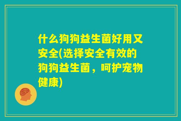 什么狗狗益生菌好用又安全(选择安全有效的狗狗益生菌，呵护宠物健康)