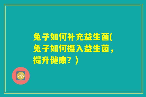 兔子如何补充益生菌(兔子如何摄入益生菌,提升健康?) 兔子如何补充益生菌(兔子如何摄入益生菌,提升健康?)