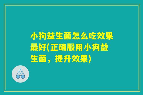 小狗益生菌怎么吃效果最好(正确服用小狗益生菌，提升效果)