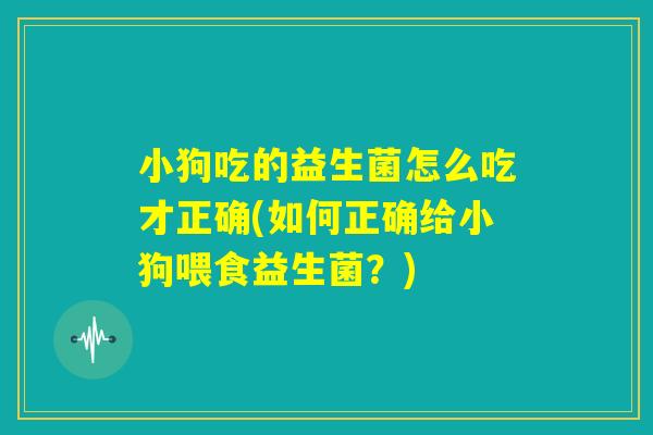 小狗吃的益生菌怎么吃才正确(如何正确给小狗喂食益生菌？)