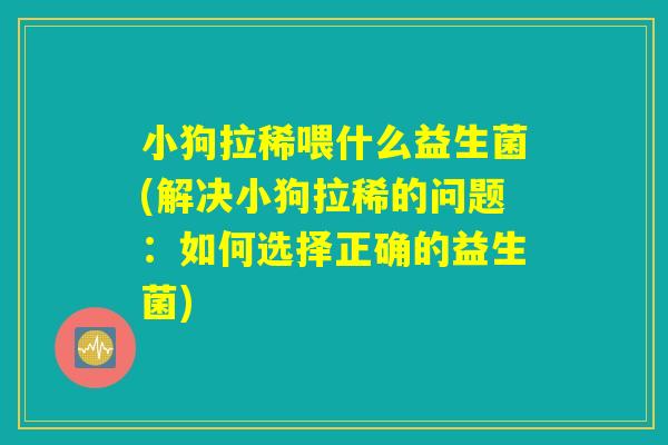 小狗拉稀喂什么益生菌(解决小狗拉稀的问题：如何选择正确的益生菌)