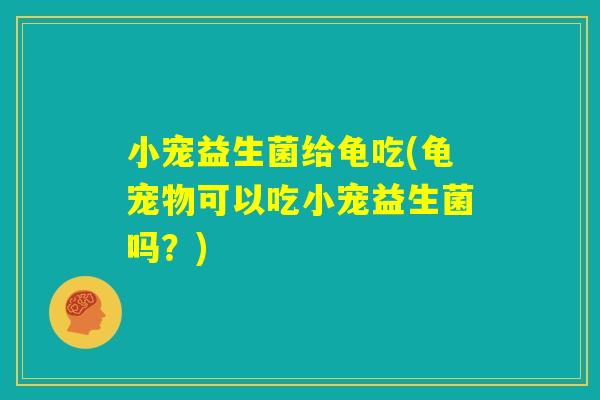 小宠益生菌给龟吃(龟宠物可以吃小宠益生菌吗？)