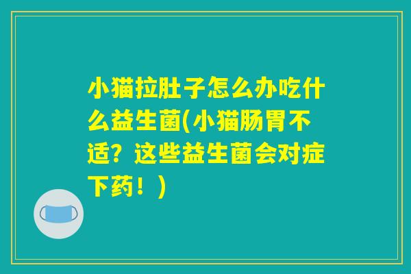 小猫拉肚子怎么办吃什么益生菌(小猫肠胃不适？这些益生菌会对症下药！)