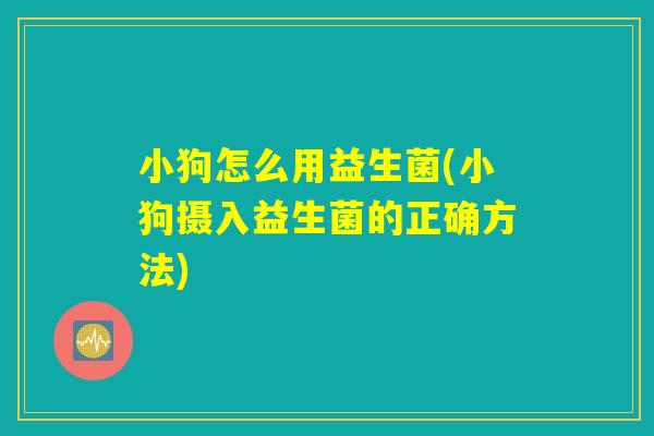 小狗怎么用益生菌(小狗摄入益生菌的正确方法)