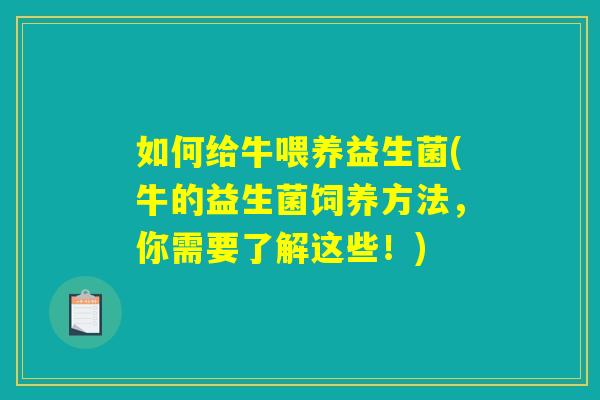 如何给牛喂养益生菌(牛的益生菌饲养方法，你需要了解这些！)