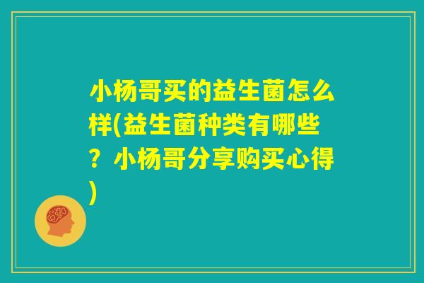 小杨哥买的益生菌怎么样(益生菌种类有哪些？小杨哥分享购买心得)