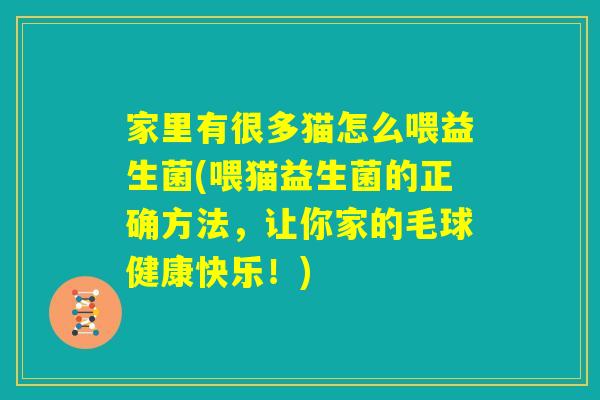 家里有很多猫怎么喂益生菌(喂猫益生菌的正确方法，让你家的毛球健康快乐！)