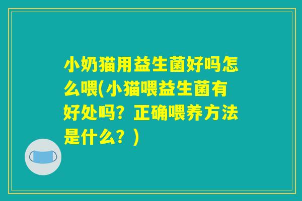 小奶猫用益生菌好吗怎么喂(小猫喂益生菌有好处吗?正确喂养方法是什么?) 小奶猫用益生菌好吗怎么喂(小猫喂益生菌有好处吗?正确喂养方法是什么?)