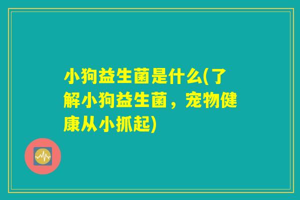 小狗益生菌是什么(了解小狗益生菌,宠物健康从小抓起) 小狗益生菌是什么(了解小狗益生菌,宠物健康从小抓起)