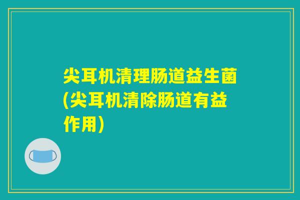 尖耳机清理肠道益生菌(尖耳机清除肠道有益作用)