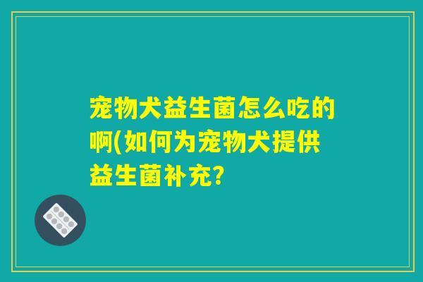 宠物犬益生菌怎么吃的啊(如何为宠物犬提供益生菌补充？