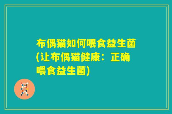 布偶猫如何喂食益生菌(让布偶猫健康：正确喂食益生菌)
