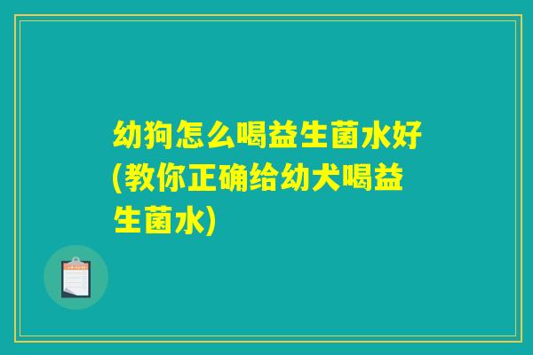 幼狗怎么喝益生菌水好(教你正确给幼犬喝益生菌水)