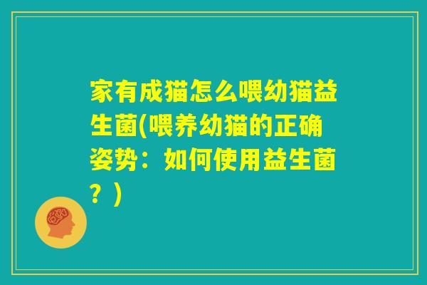 家有成猫怎么喂幼猫益生菌(喂养幼猫的正确姿势：如何使用益生菌？)