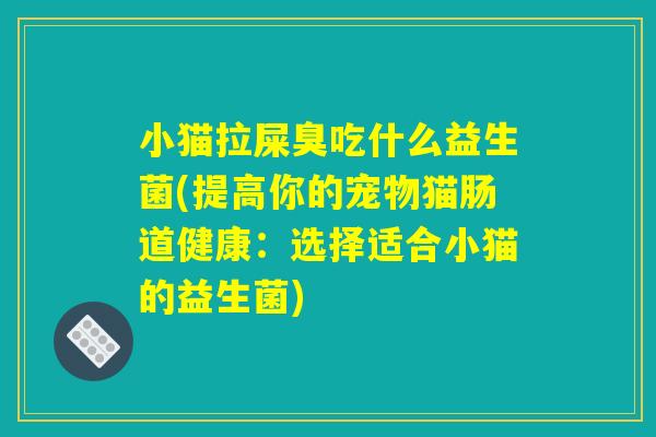 小猫拉屎臭吃什么益生菌(提高你的宠物猫肠道健康：选择适合小猫的益生菌)