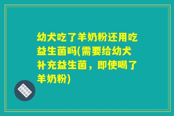 幼犬吃了羊奶粉还用吃益生菌吗(需要给幼犬补充益生菌,即使喝了羊奶粉) 幼犬吃了羊奶粉还用吃益生菌吗(需要给幼犬补充益生菌,即使喝了羊奶粉)