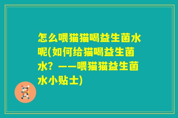 怎么喂猫猫喝益生菌水呢(如何给猫喝益生菌水?——喂猫猫益生菌水小贴士) 怎么喂猫猫喝益生菌水呢(如何给猫喝益生菌水?——喂猫猫益生菌水小贴士)