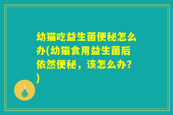 幼猫吃益生菌便秘怎么办(幼猫食用益生菌后依然便秘,该怎么办?) 幼猫吃益生菌便秘怎么办(幼猫食用益生菌后依然便秘,该怎么办?)