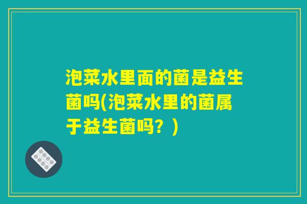 泡菜水里面的菌是益生菌吗(泡菜水里的菌属于益生菌吗？)