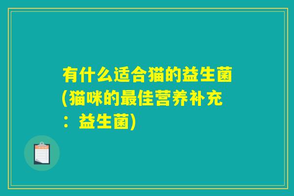 有什么适合猫的益生菌(猫咪的最佳营养补充：益生菌)