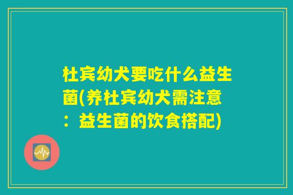 杜宾幼犬要吃什么益生菌(养杜宾幼犬需注意:益生菌的饮食搭配) 杜宾幼犬要吃什么益生菌(养杜宾幼犬需注意:益生菌的饮食搭配)