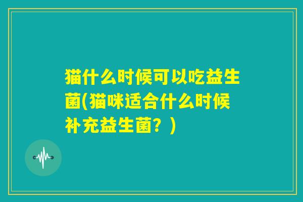 猫什么时候可以吃益生菌(猫咪适合什么时候补充益生菌？)