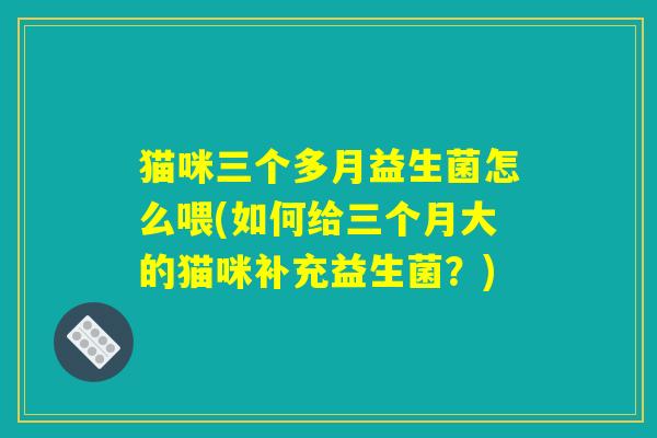 猫咪三个多月益生菌怎么喂(如何给三个月大的猫咪补充益生菌？)