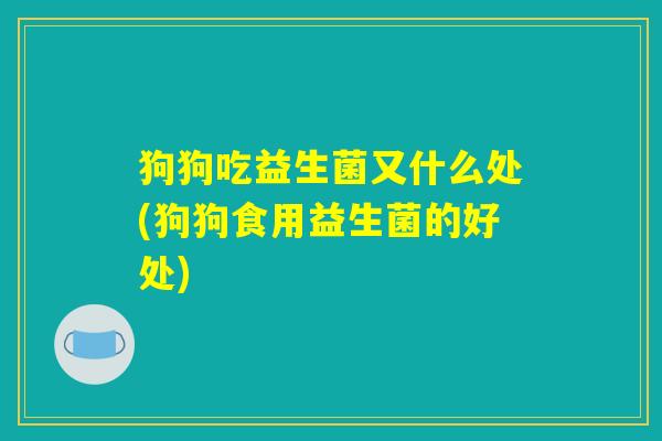 狗狗吃益生菌又什么处(狗狗食用益生菌的好处)