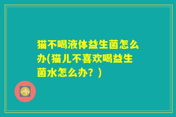 猫不喝液体益生菌怎么办(猫儿不喜欢喝益生菌水怎么办？)