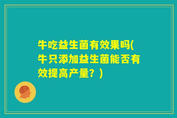 牛吃益生菌有效果吗(牛只添加益生菌能否有效提高产量？)