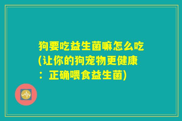 狗要吃益生菌嘛怎么吃(让你的狗宠物更健康：正确喂食益生菌)