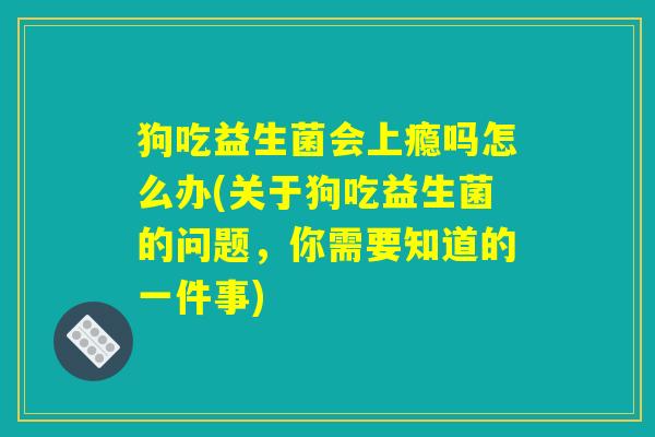 狗吃益生菌会上瘾吗怎么办(关于狗吃益生菌的问题，你需要知道的一件事)
