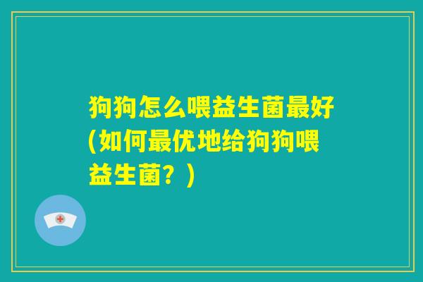 狗狗怎么喂益生菌最好(如何最优地给狗狗喂益生菌?) 狗狗怎么喂益生菌最好(如何最优地给狗狗喂益生菌?)
