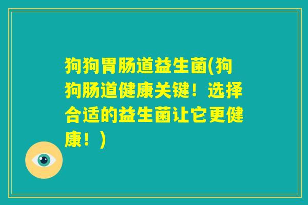 狗狗胃肠道益生菌(狗狗肠道健康关键！选择合适的益生菌让它更健康！)