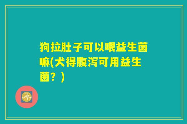 狗拉肚子可以喂益生菌嘛(犬得腹泻可用益生菌？)