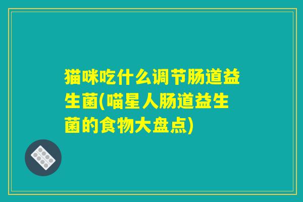 猫咪吃什么调节肠道益生菌(喵星人肠道益生菌的食物大盘点)