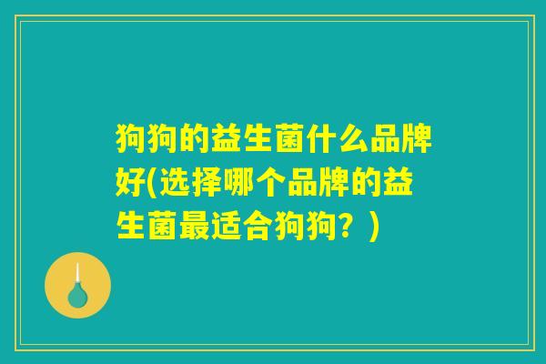 狗狗的益生菌什么品牌好(选择哪个品牌的益生菌最适合狗狗？)
