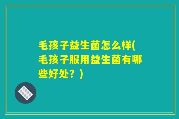 毛孩子益生菌怎么样(毛孩子服用益生菌有哪些好处？)