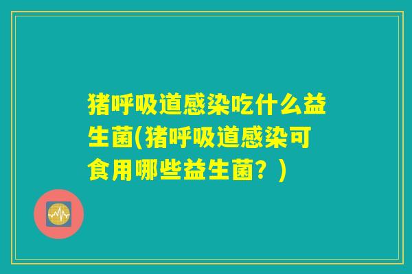 猪呼吸道感染吃什么益生菌(猪呼吸道感染可食用哪些益生菌？)