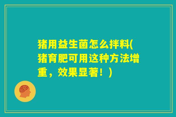 猪用益生菌怎么拌料(猪育肥可用这种方法增重，效果显著！)