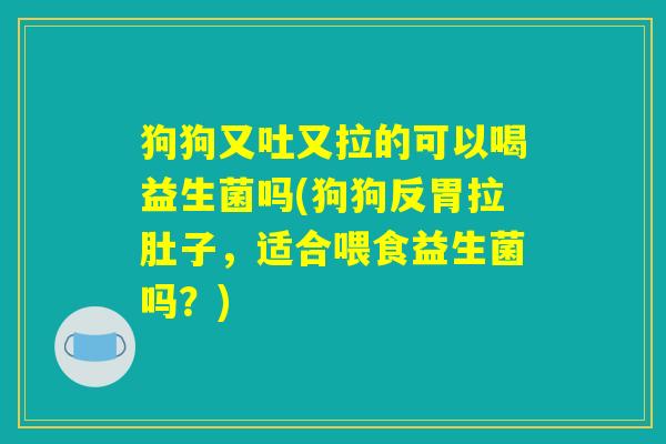 狗狗又吐又拉的可以喝益生菌吗(狗狗反胃拉肚子，适合喂食益生菌吗？)