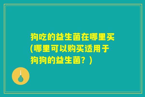 狗吃的益生菌在哪里买(哪里可以购买适用于狗狗的益生菌？)
