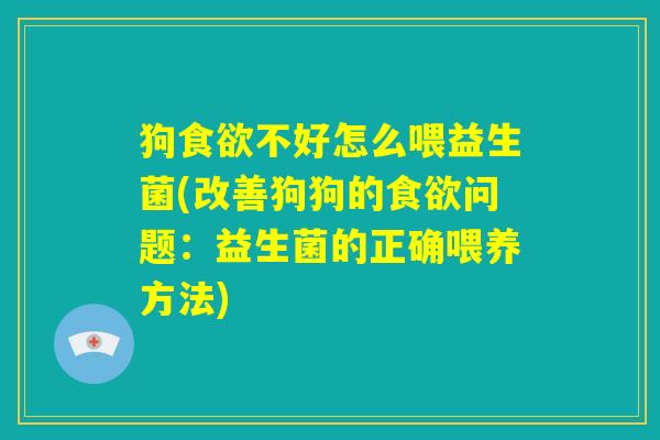 狗食欲不好怎么喂益生菌(改善狗狗的食欲问题：益生菌的正确喂养方法)