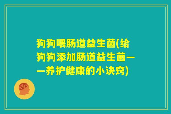 狗狗喂肠道益生菌(给狗狗添加肠道益生菌——养护健康的小诀窍) 狗狗喂肠道益生菌(给狗狗添加肠道益生菌——养护健康的小诀窍)