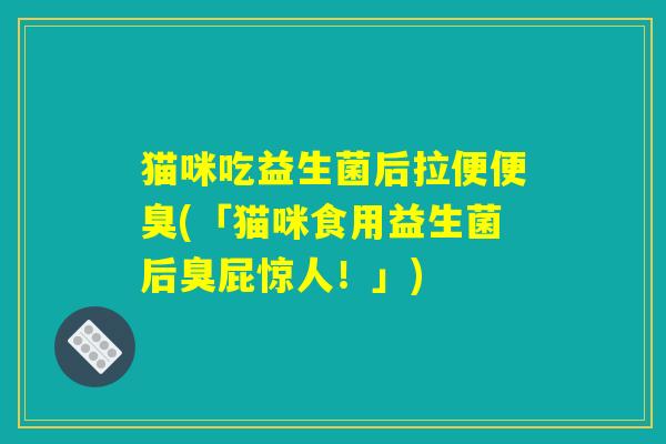 猫咪吃益生菌后拉便便臭(「猫咪食用益生菌后臭屁惊人！」)